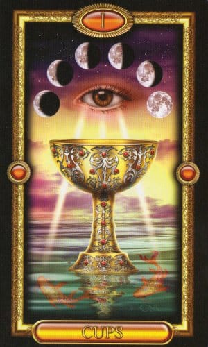 CARD OF THE DAY - Ace of Cups