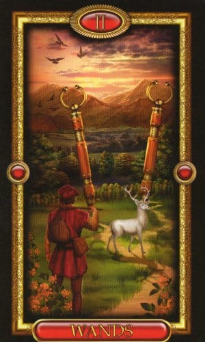 CARD OF THE DAY - Two of Wands